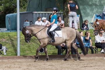 Bild 15 - Pony Akademie Turnier